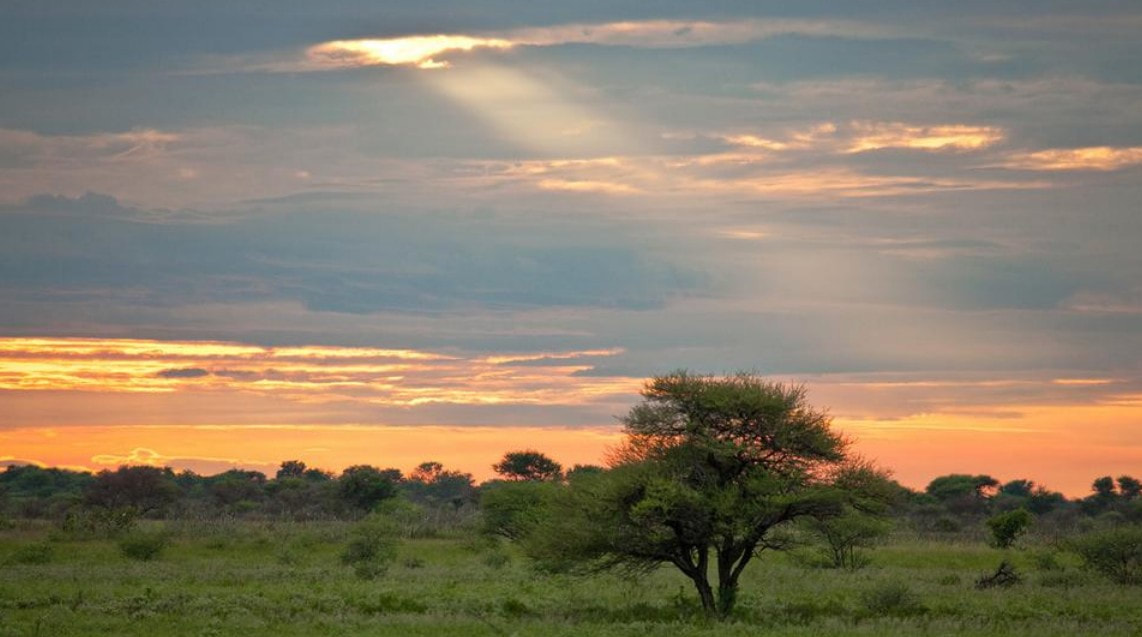 Picture of African landscape